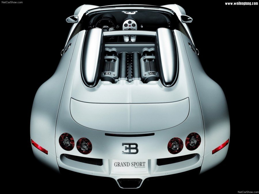 Bugatti-Veyron_Grand_Sport-2009-1280-72.jpg