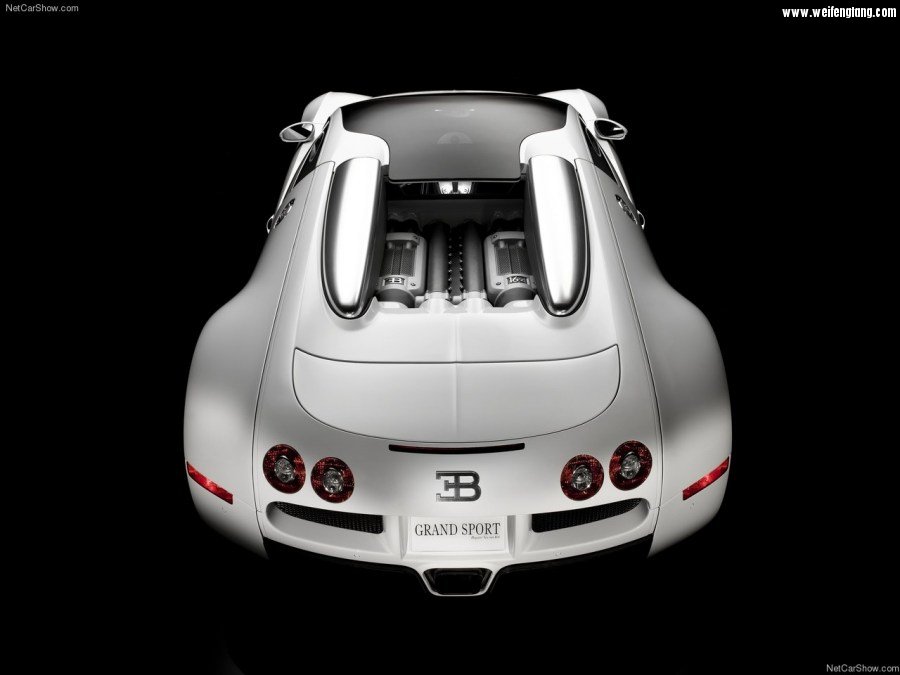 Bugatti-Veyron_Grand_Sport-2009-1280-73.jpg
