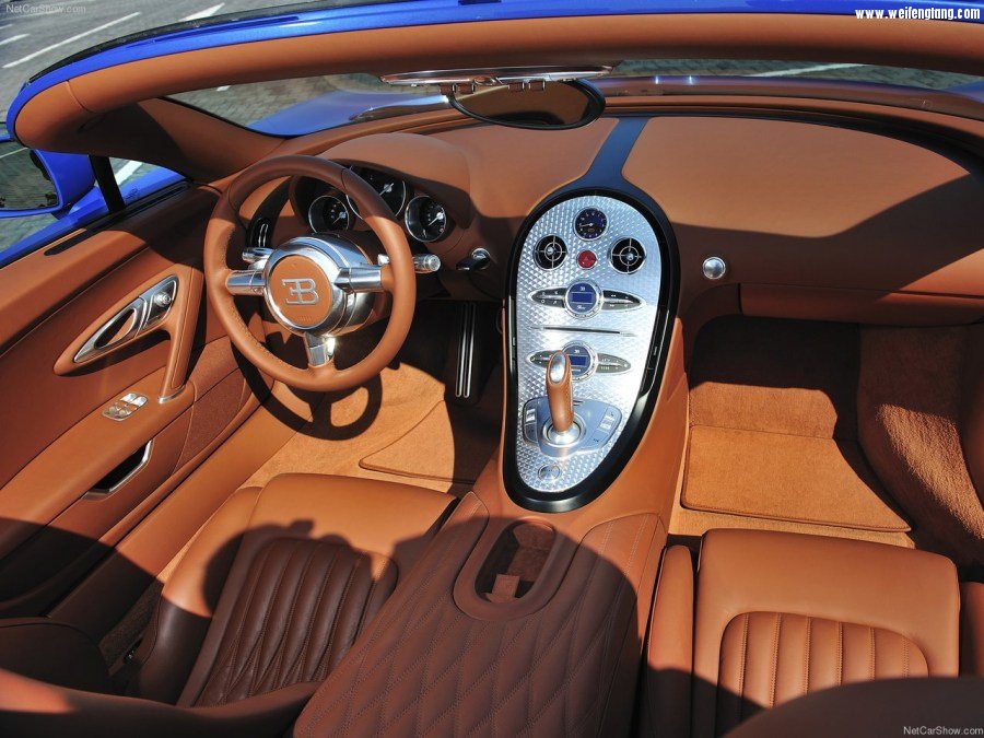 Bugatti-Veyron_Grand_Sport-2009-1280-76.jpg