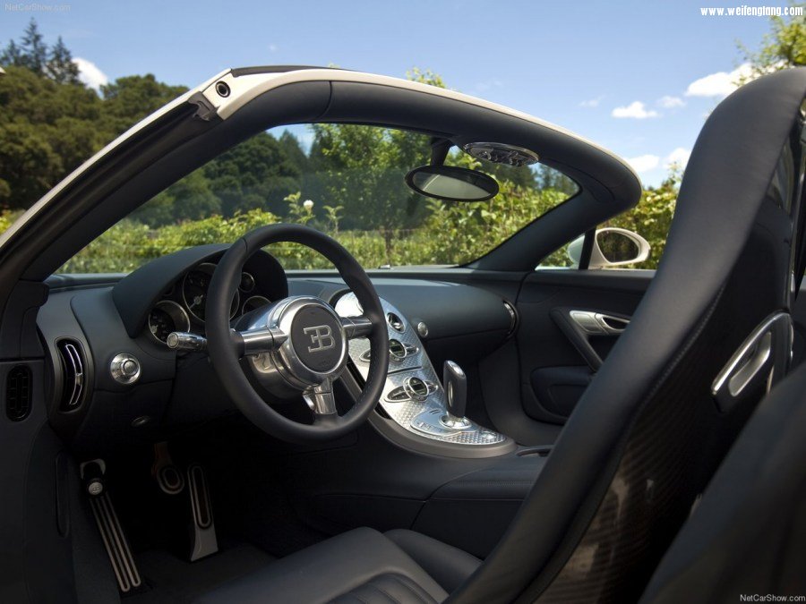 Bugatti-Veyron_Grand_Sport-2009-1280-77.jpg