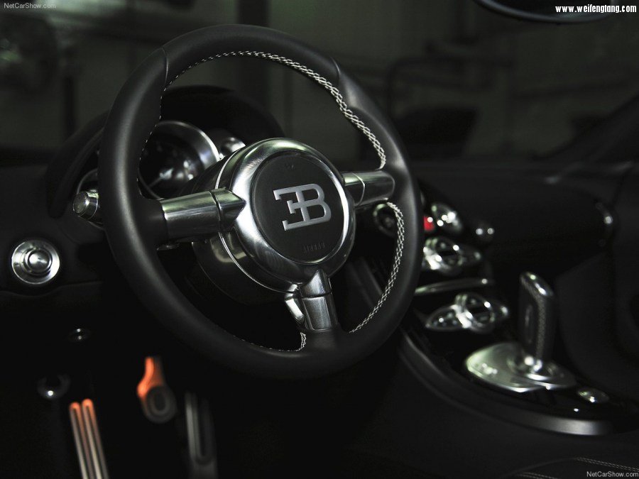 Bugatti-Veyron_Grand_Sport-2009-1280-78.jpg