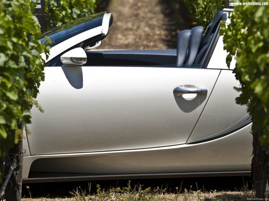 Bugatti-Veyron_Grand_Sport-2009-1280-8f.jpg