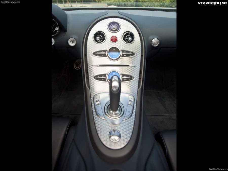 Bugatti-Veyron_Grand_Sport-2009-1280-91.jpg