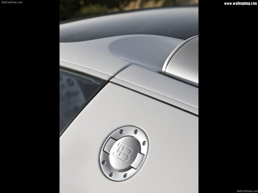 Bugatti-Veyron_Grand_Sport-2009-1280-93.jpg
