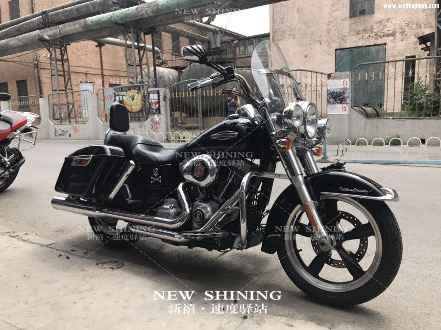 哈雷黛娜征途3.jpg