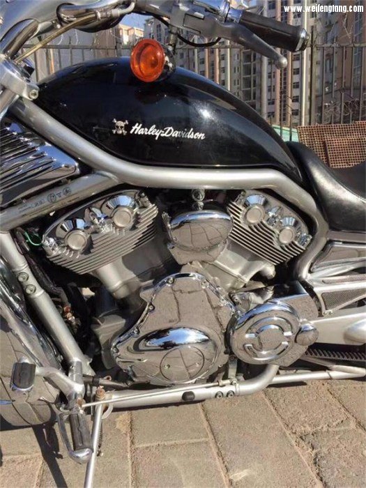 323280306765325129 - 副本 - 副本.jpg