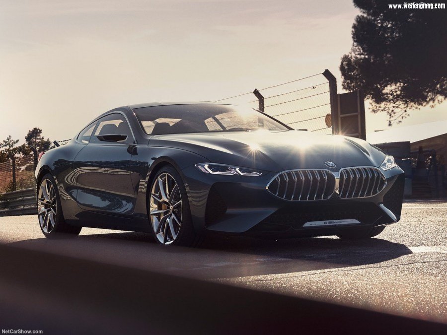BMW-8-Series_Concept-2017-1280-02.jpg