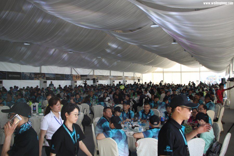 未标题-1 副本.jpg