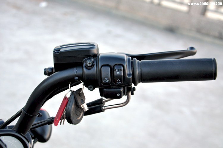 13年哈雷夜路德 (9)B.jpg