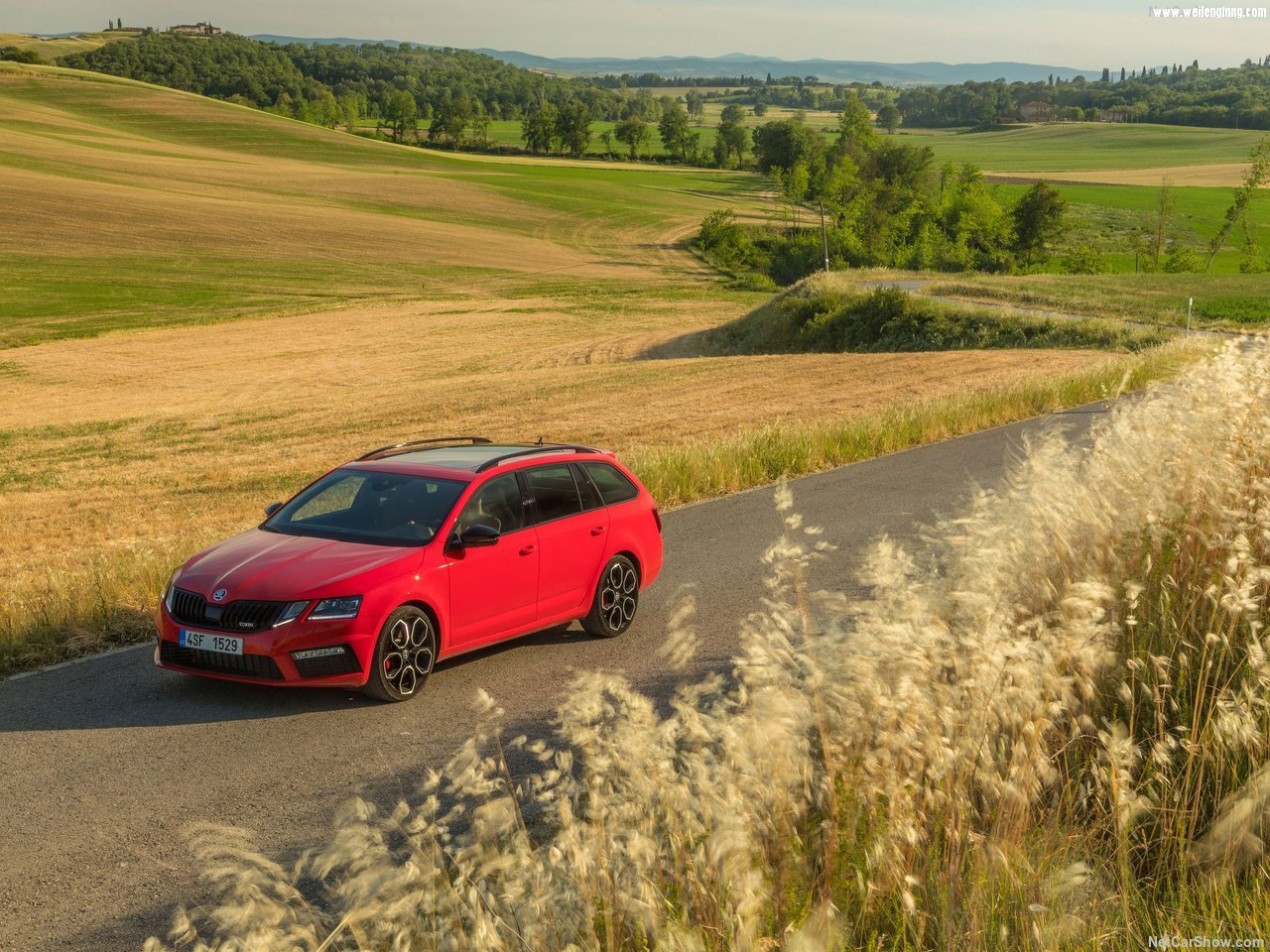 Skoda-Octavia_RS_245_Combi-2018-1280-0a.jpg