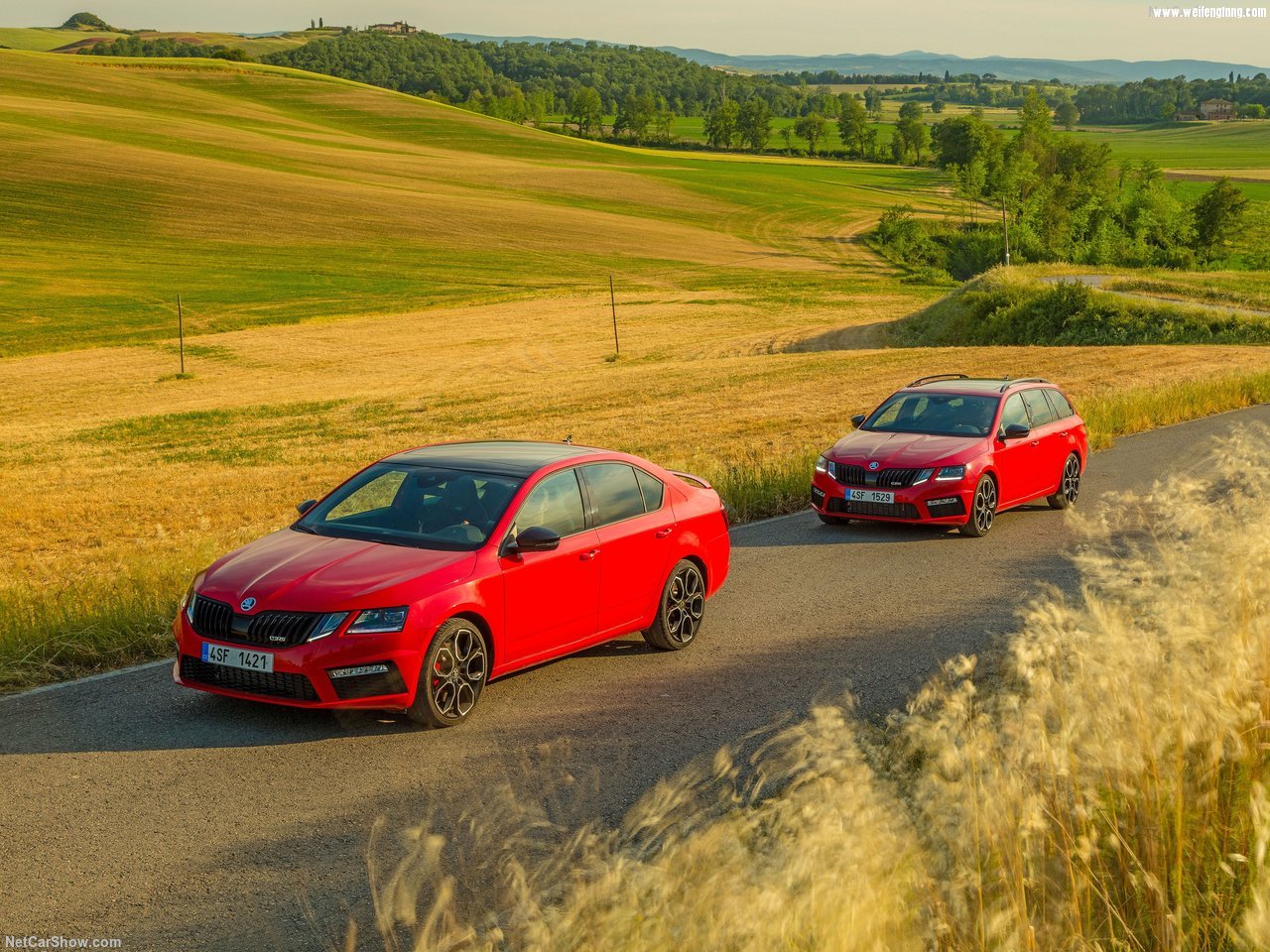 Skoda-Octavia_RS_245-2018-1280-14.jpg