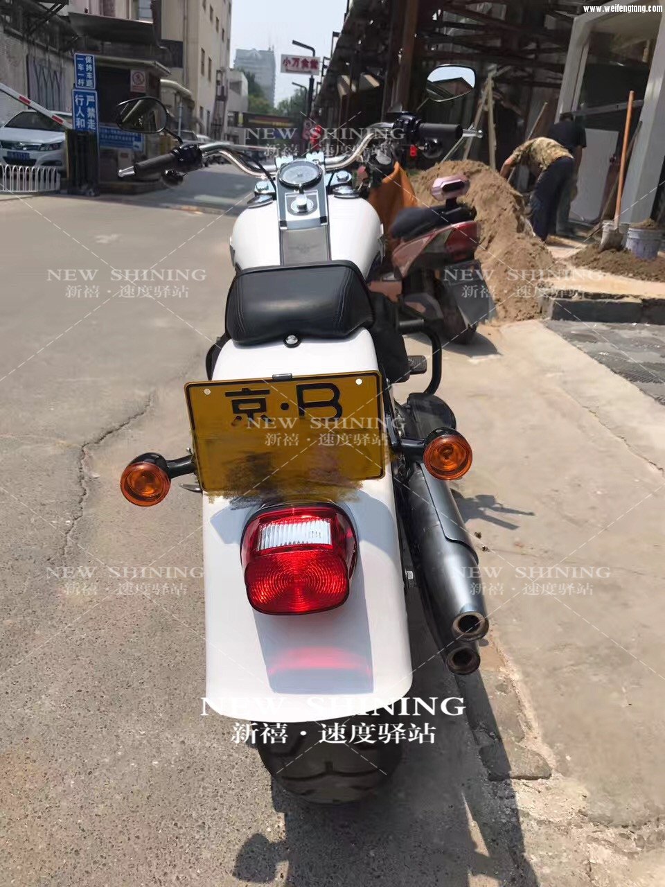 肥仔 5.jpg