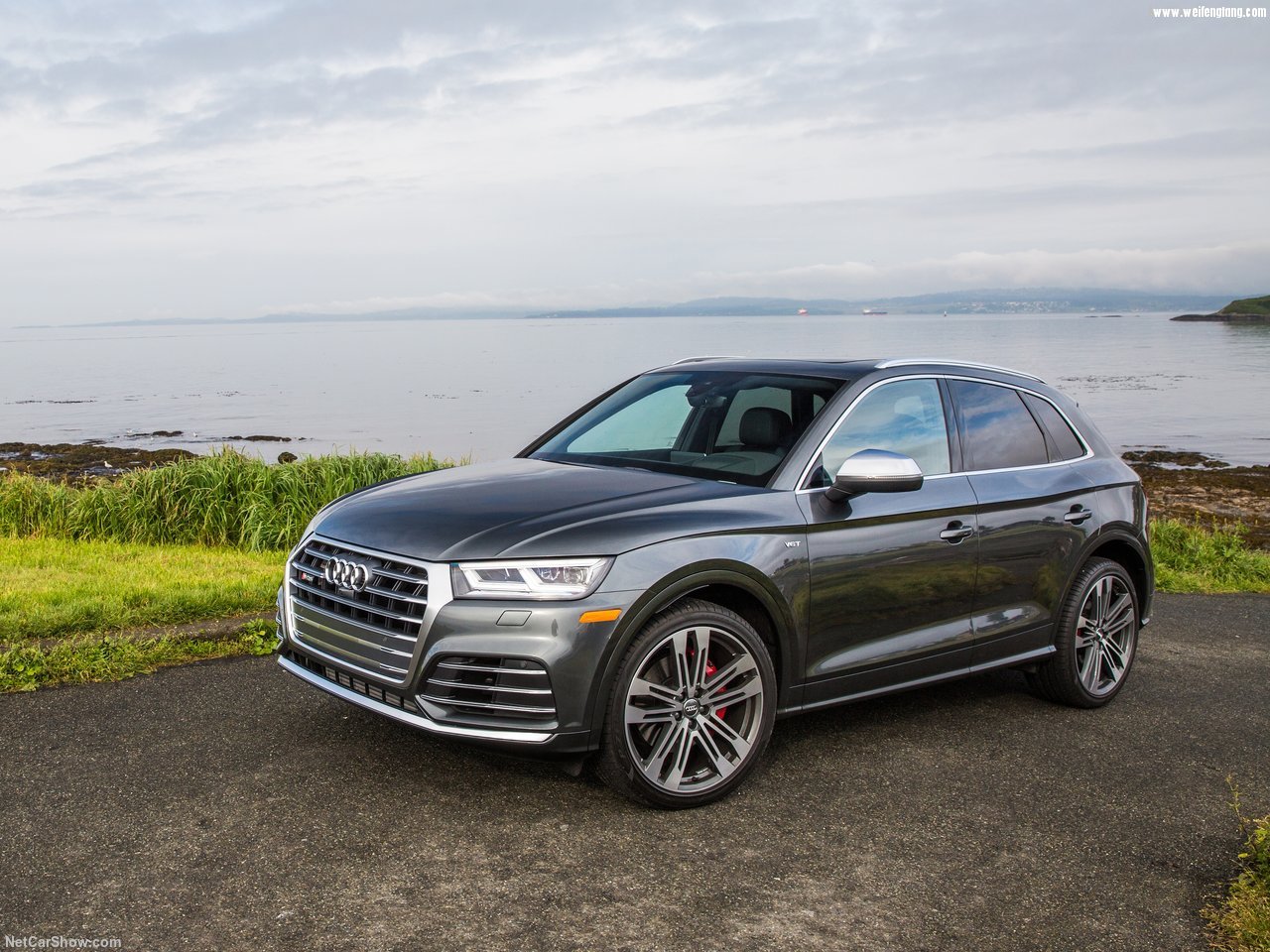 Audi-SQ5_3.0_TFSI-2018-1280-0e.jpg