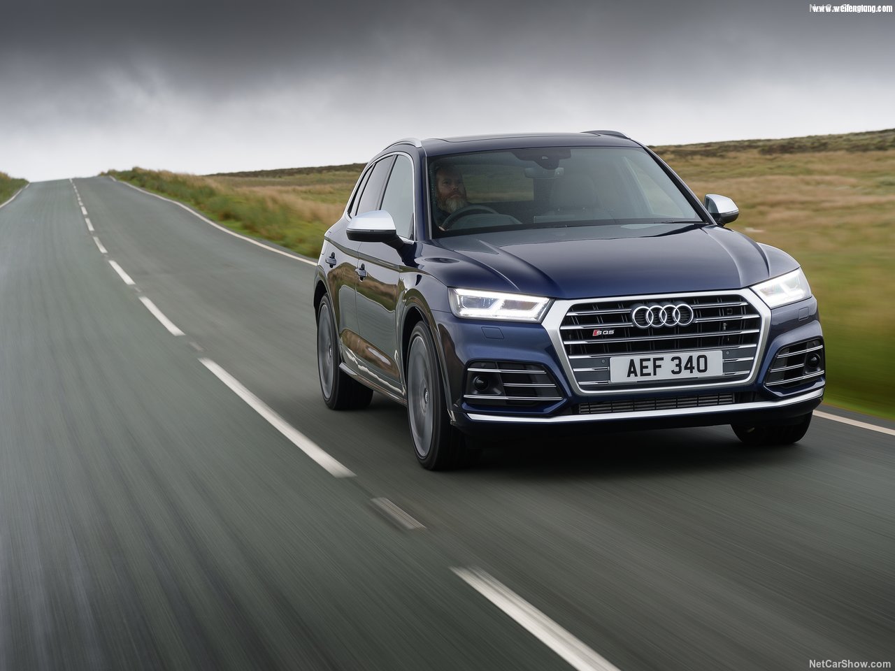 Audi-SQ5_3.0_TFSI-2018-1280-25.jpg