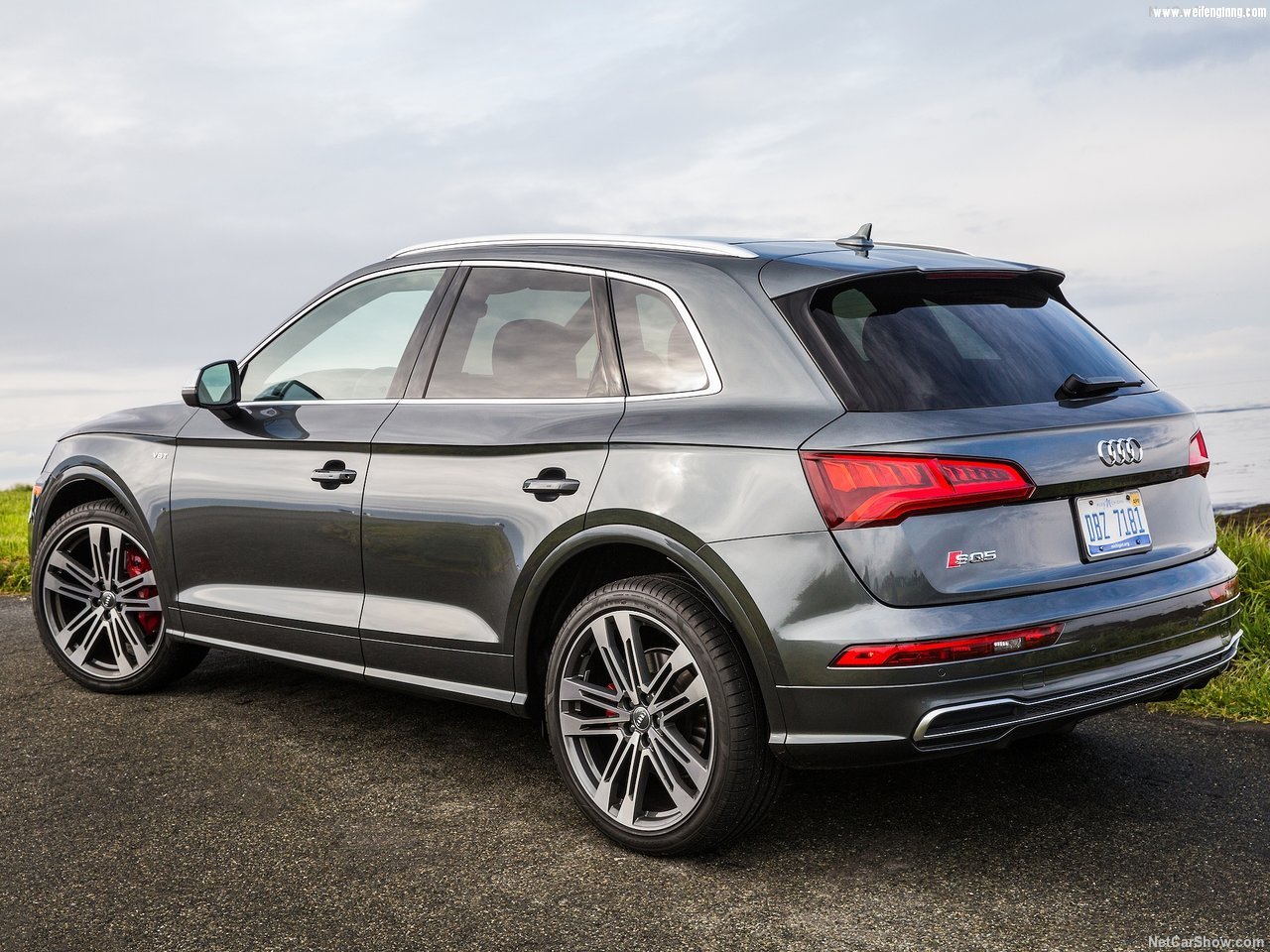 Audi-SQ5_3.0_TFSI-2018-1280-32.jpg