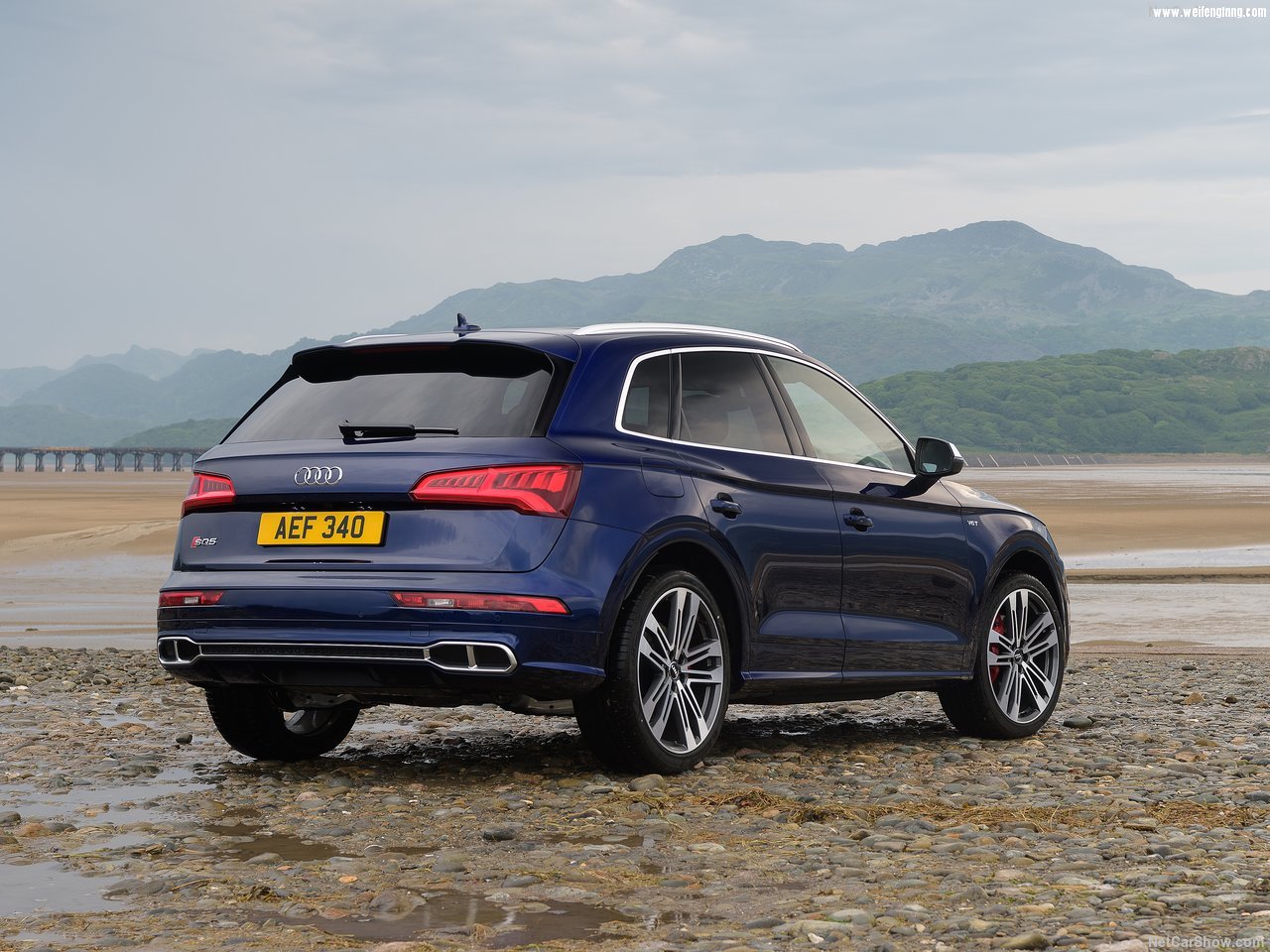 Audi-SQ5_3.0_TFSI-2018-1280-39.jpg