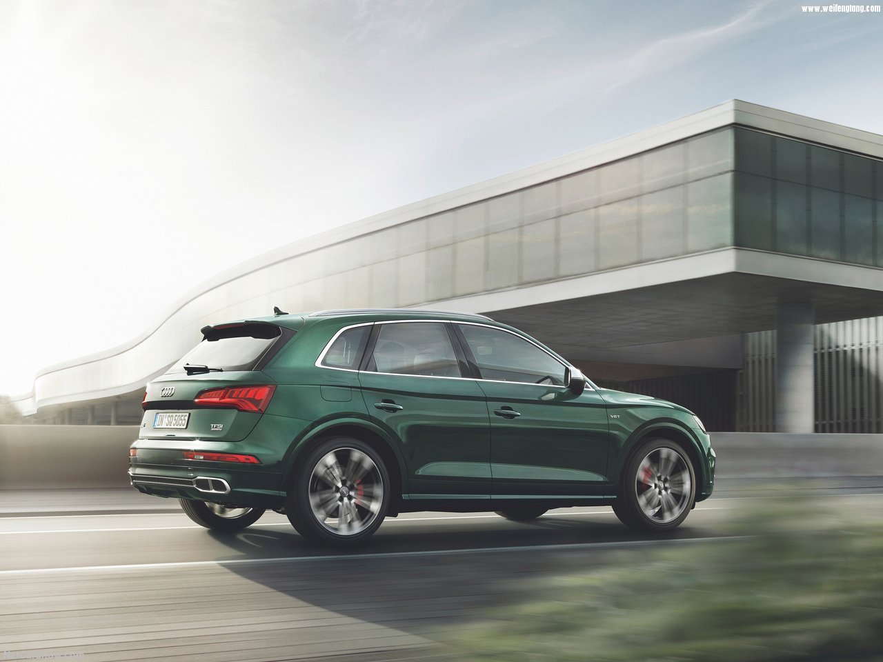 Audi-SQ5_3.0_TFSI-2018-1280-3e.jpg
