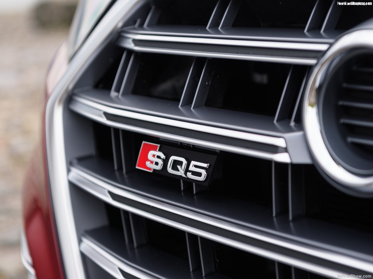 Audi-SQ5_3.0_TFSI-2018-1280-ab.jpg