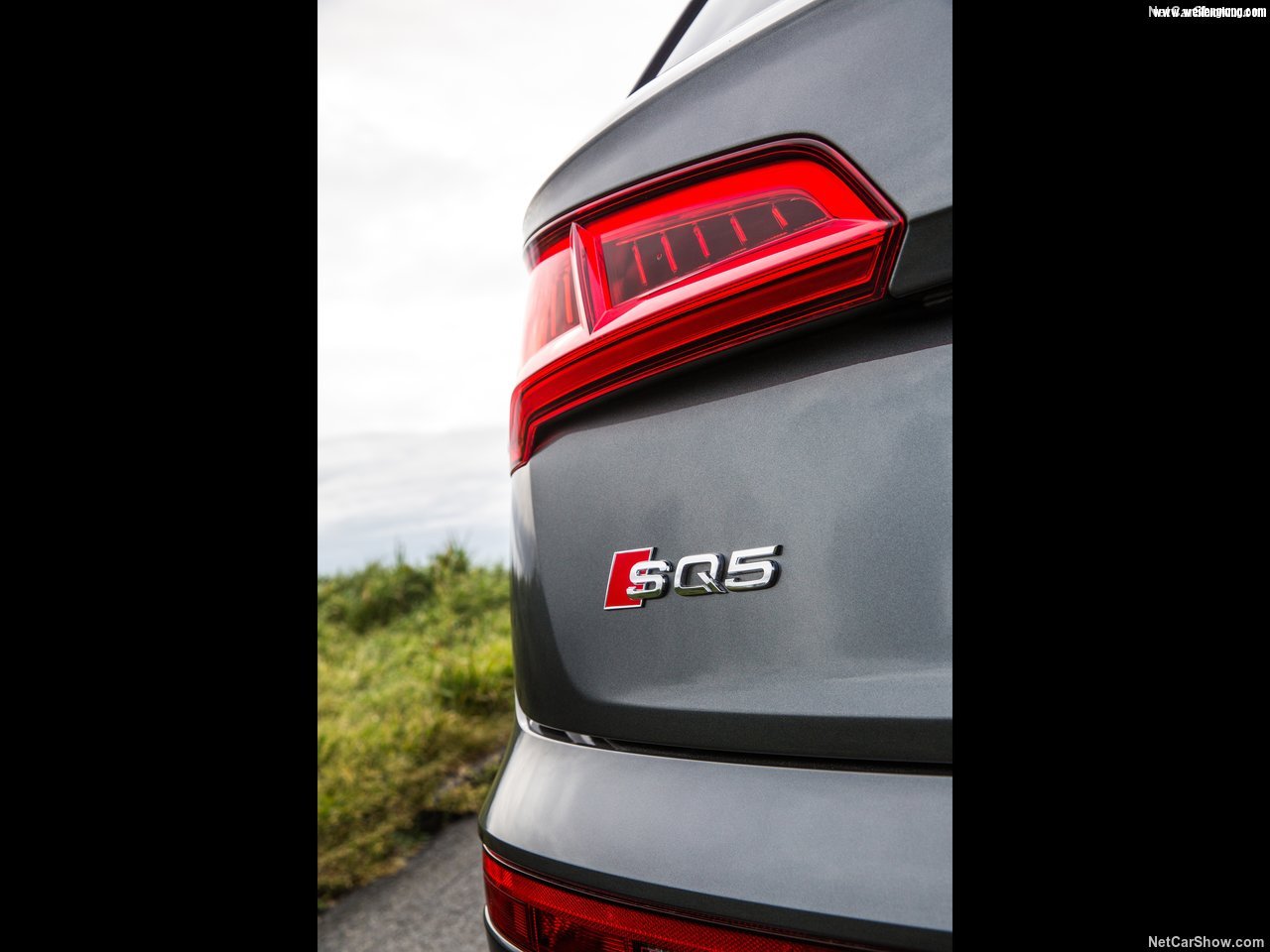 Audi-SQ5_3.0_TFSI-2018-1280-b4.jpg