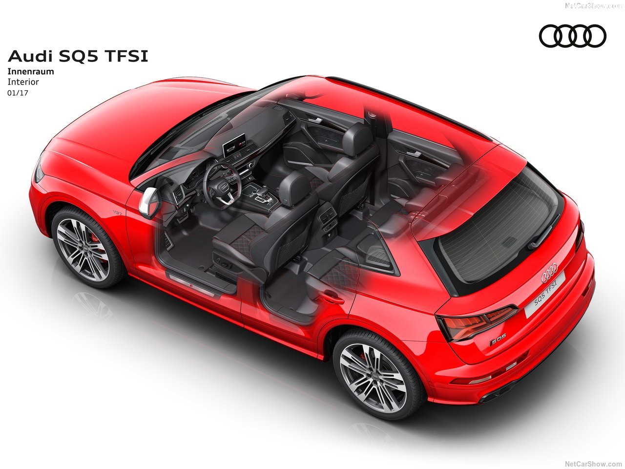 Audi-SQ5_3.0_TFSI-2018-1280-b8.jpg