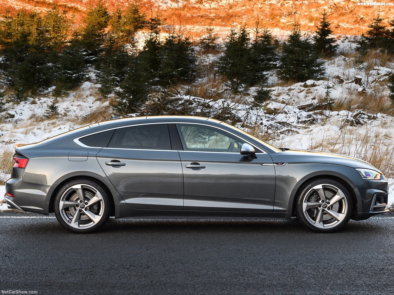 Audi-S5_Sportback-2017-1280-2c.jpg