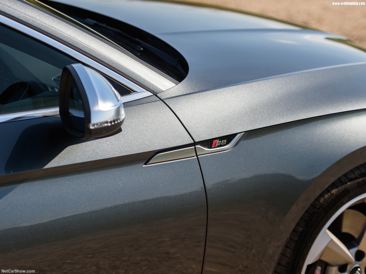 Audi-S5_Sportback-2017-1280-8c.jpg