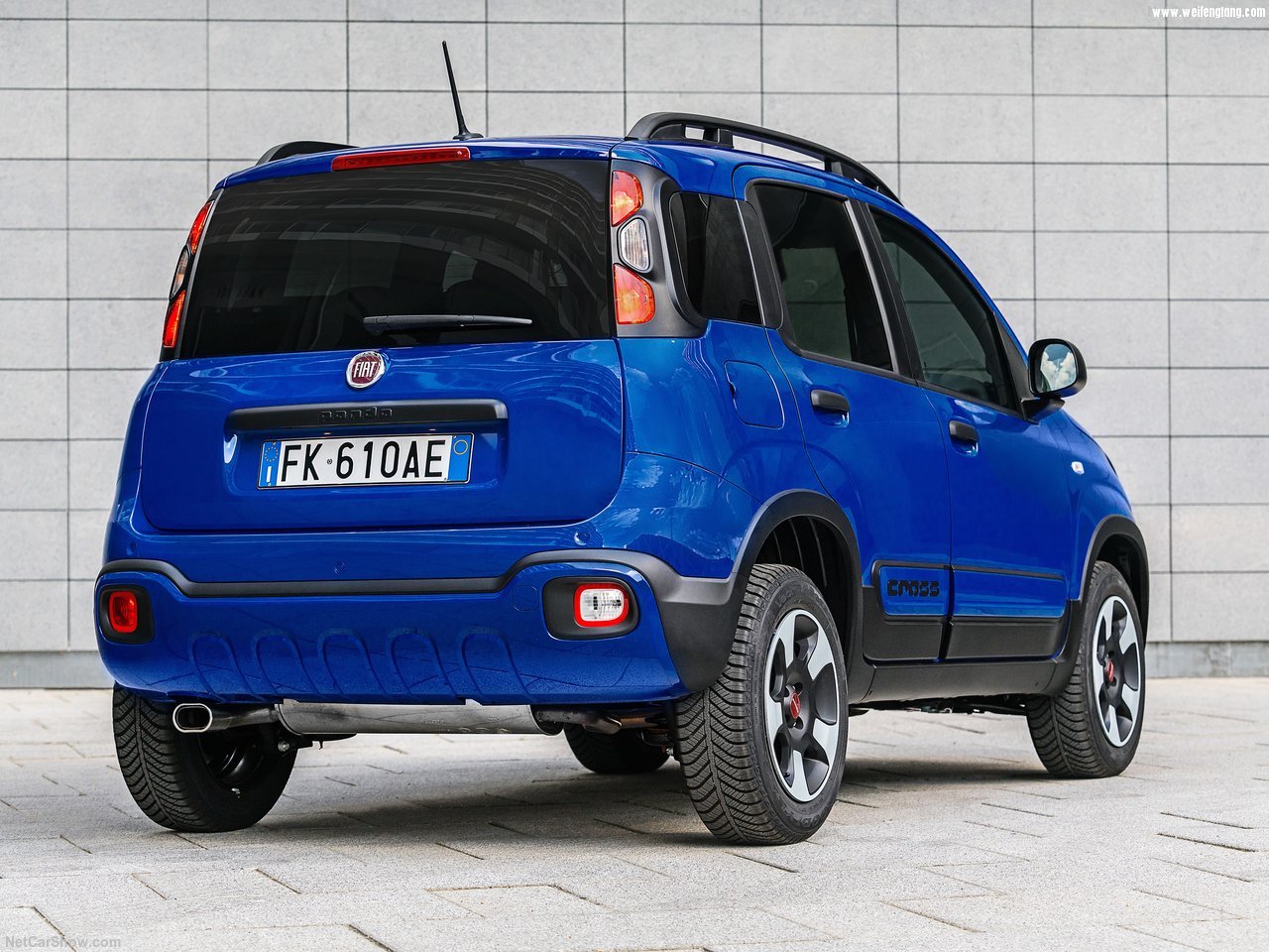 Fiat-Panda_City_Cross-2017-1280-13.jpg
