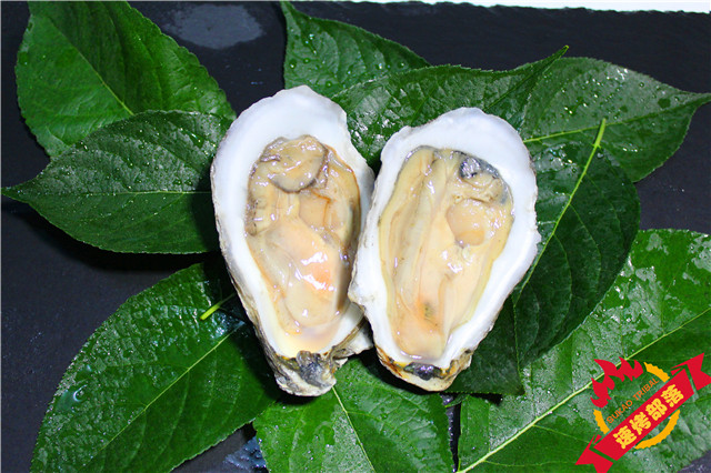 生蚝.jpg