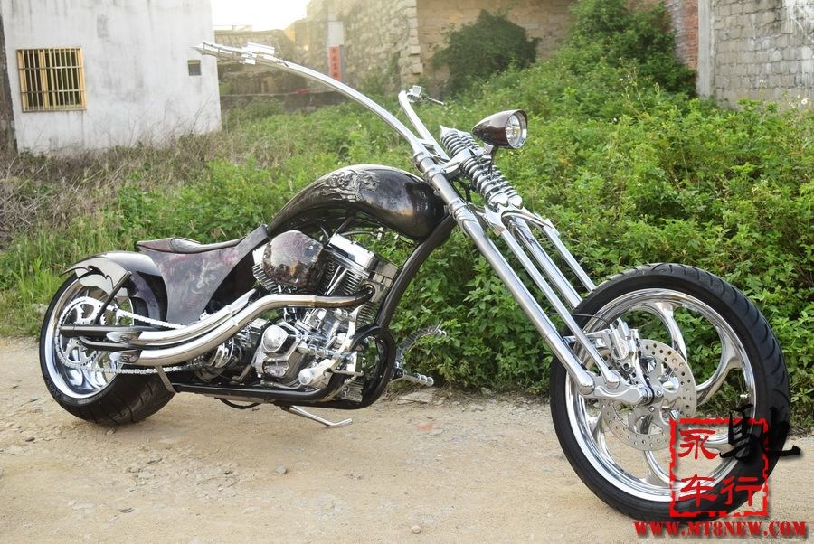 2018 美国大狗 (1).jpg