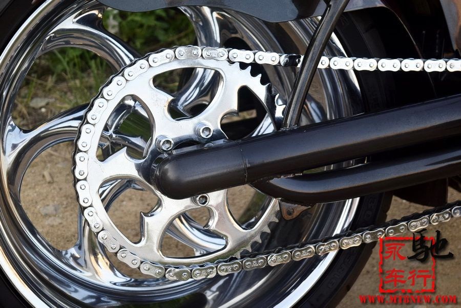 2018 美国大狗 (19).jpg