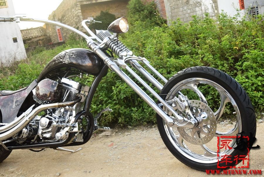 2018 美国大狗 (24).jpg