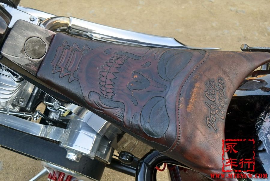 2018 美国大狗 (30).jpg