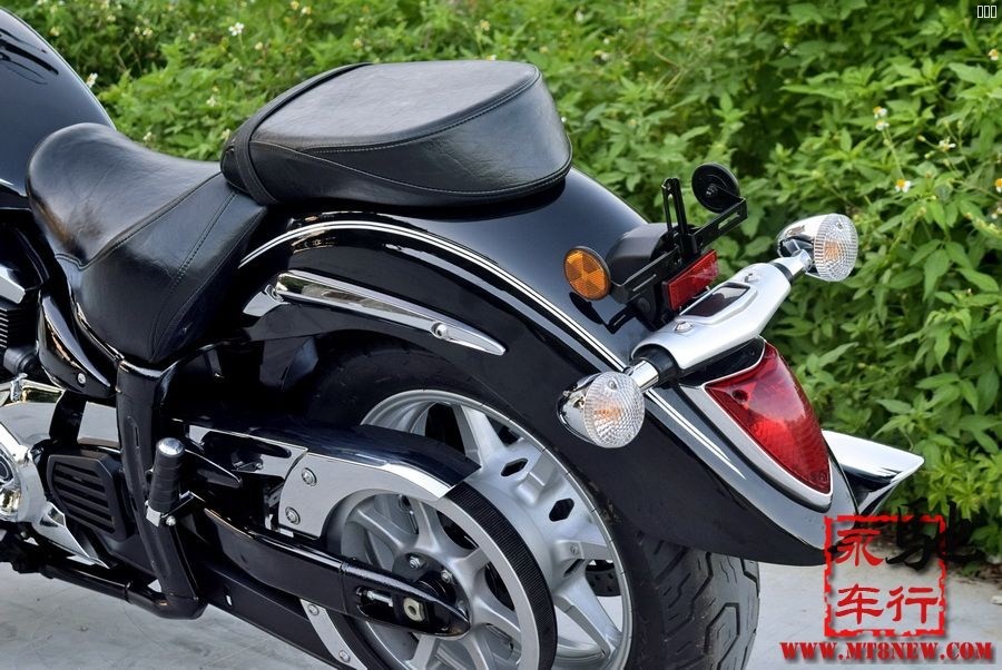 2014xvs1300 (10).jpg