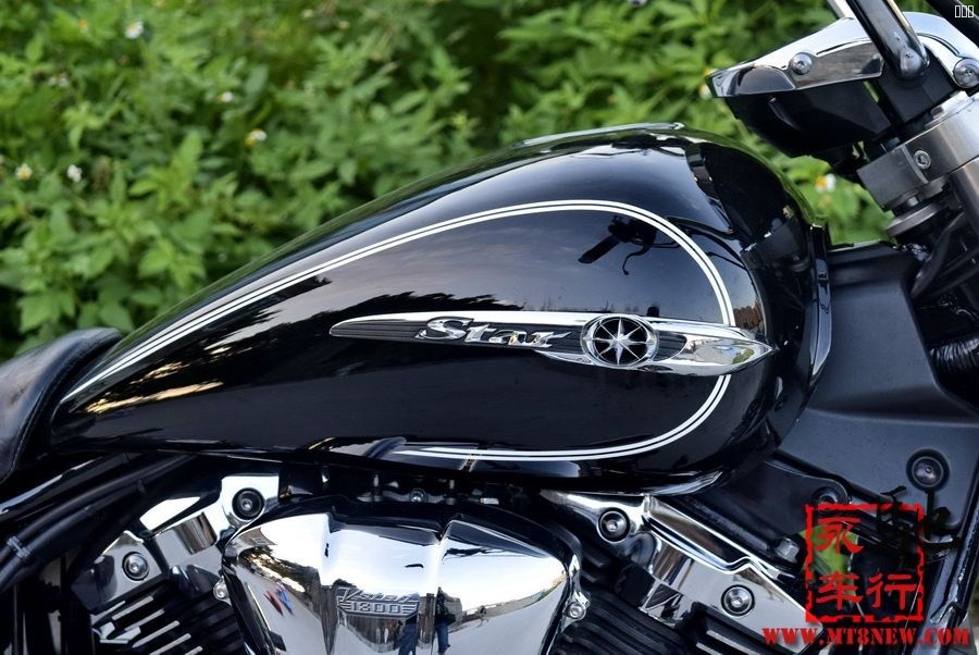 2014xvs1300 (21).jpg