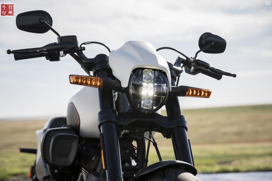 2019-Harley-Davidson-FXDR-114_5.jpg