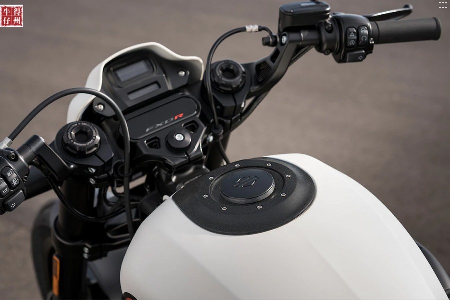 2019-Harley-Davidson-FXDR-114-4.jpg