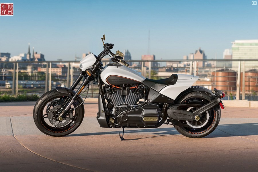 2019-Harley-Davidson-FXDR-114_9.jpg