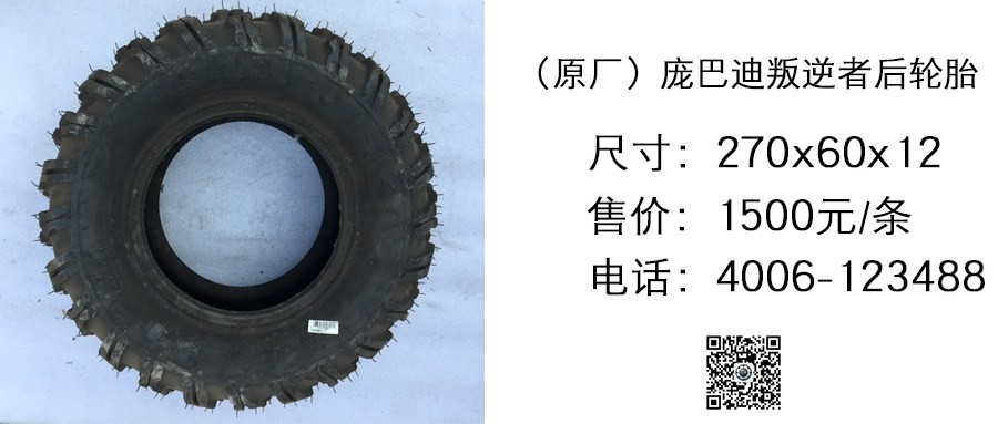 进口 庞巴迪叛逆者后轮胎270x60x12.jpg