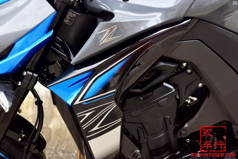 2018z1000 (7).jpg