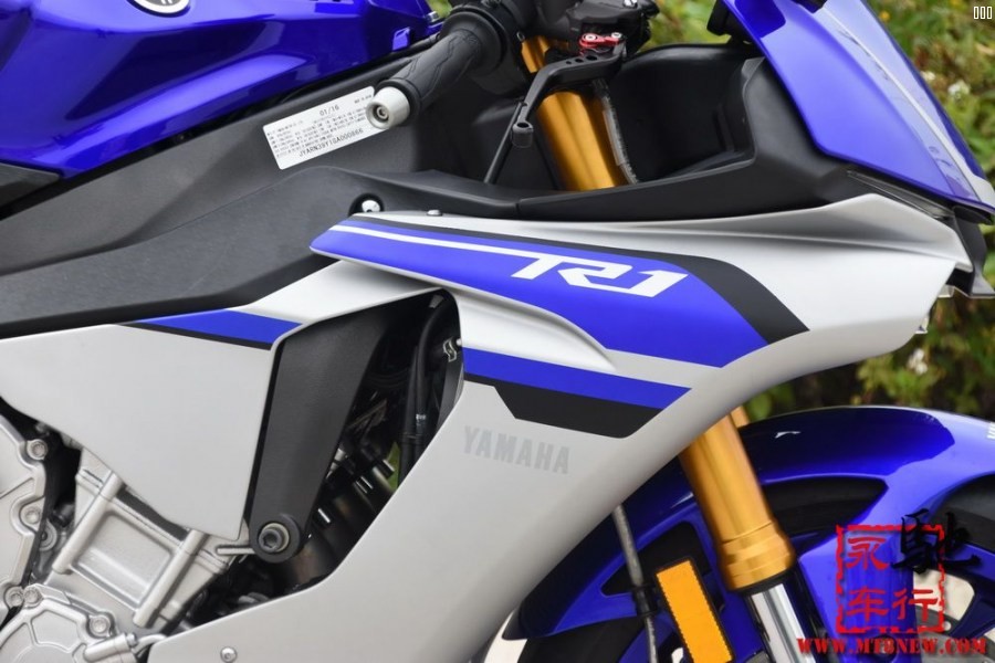 2016R1 (24).jpg