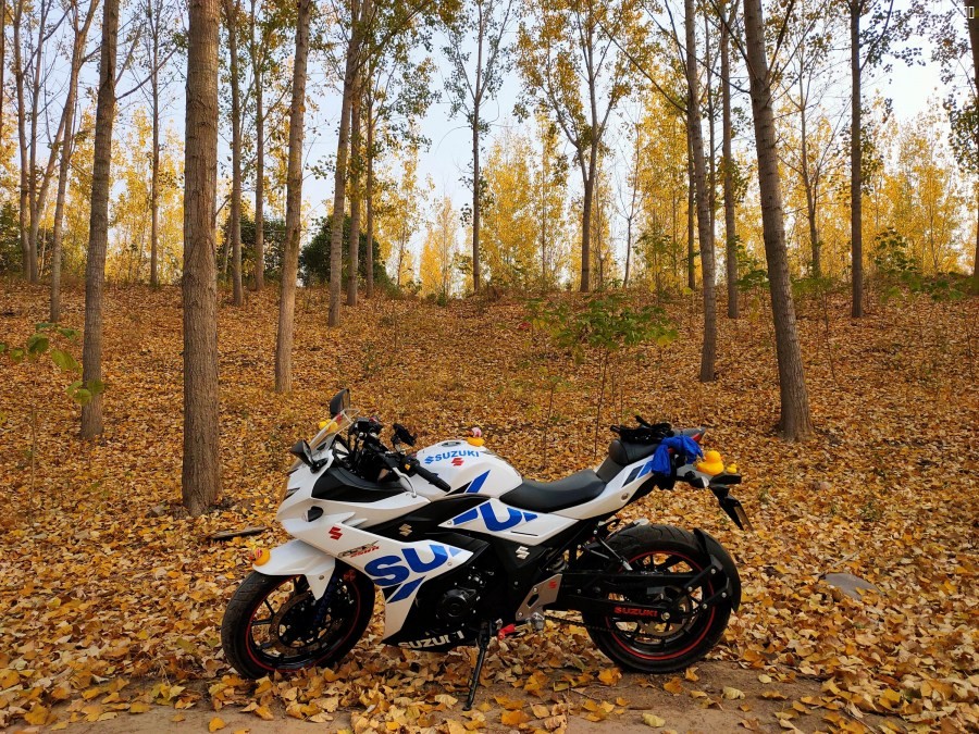 调整大小 IMG_20191116_095221.jpg